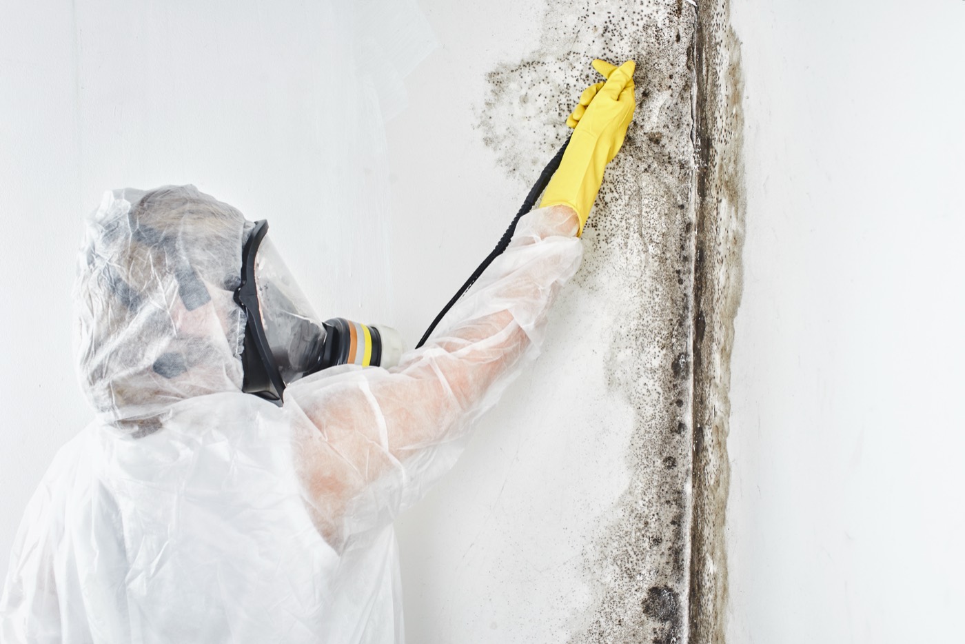 Remediation professional in protective equipment treating mold on a wall